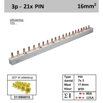 Schotman Elektro - SEP 16P03021G00 aansluitrail 16mm2 80A 125A